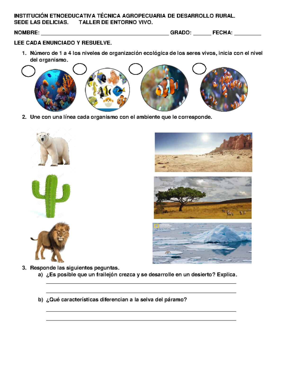 Taller 4to grado - INSTITUCIÓN ETNOEDUCATIVA TÉCNICA AGROPECUARIA DE ...