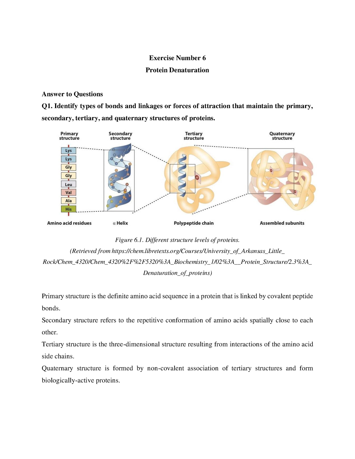 Biochem LabProtein Denaturation Exercise Number 6 Protein