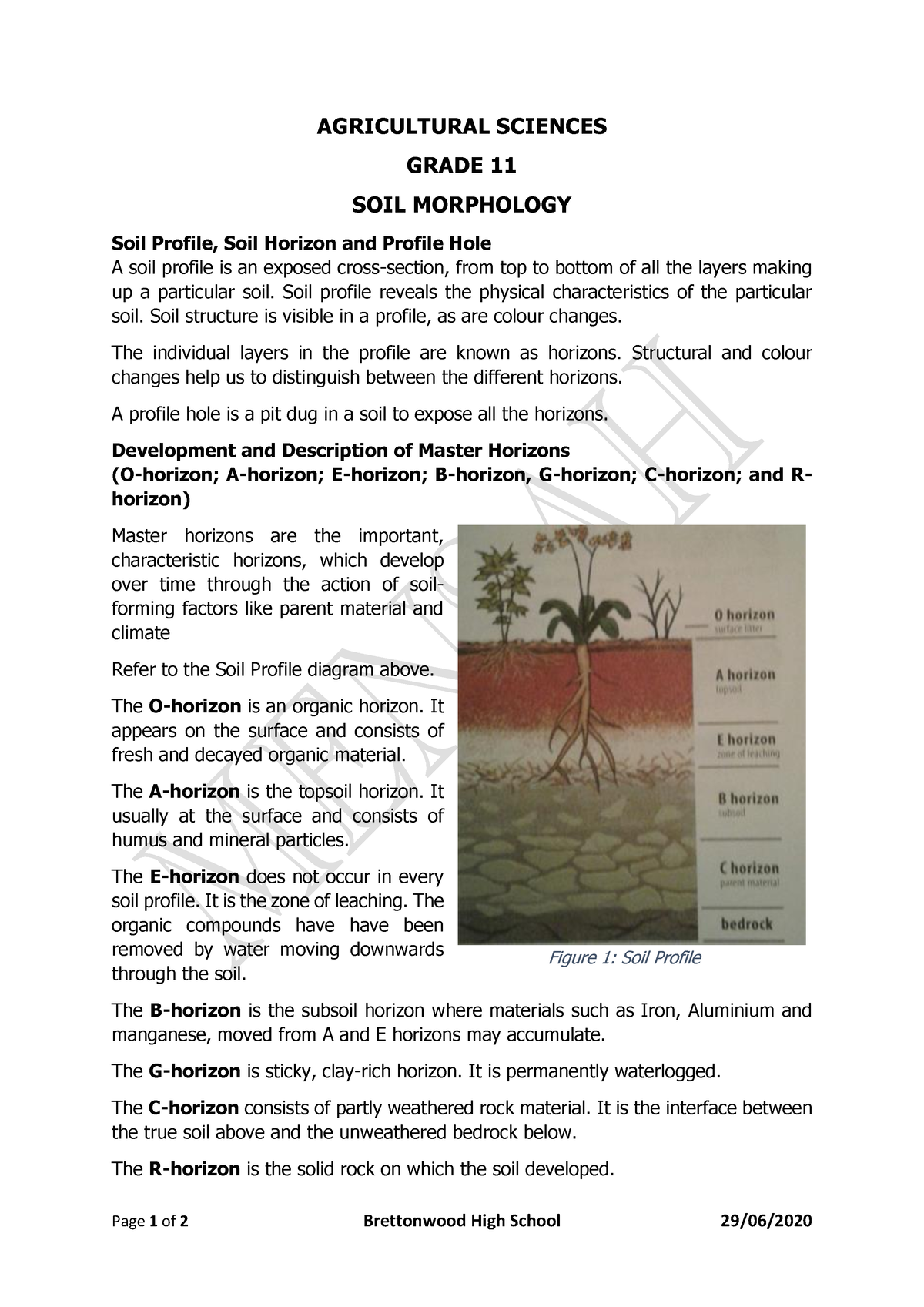 ASC Gd11 Soil Morphology - Page 1 of 2 Brettonwood High School 29/06 ...