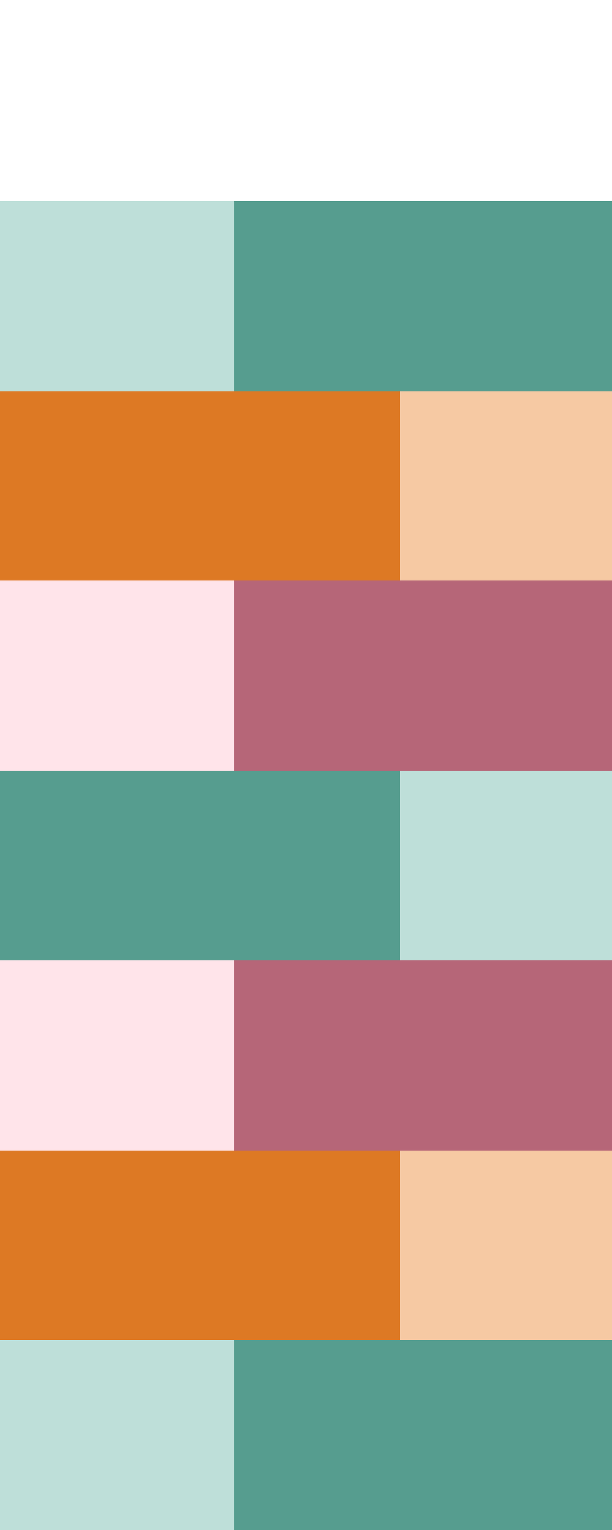 Infografía Sistemas Cuerpo Humano Ilustrado Multicolor Economics SL