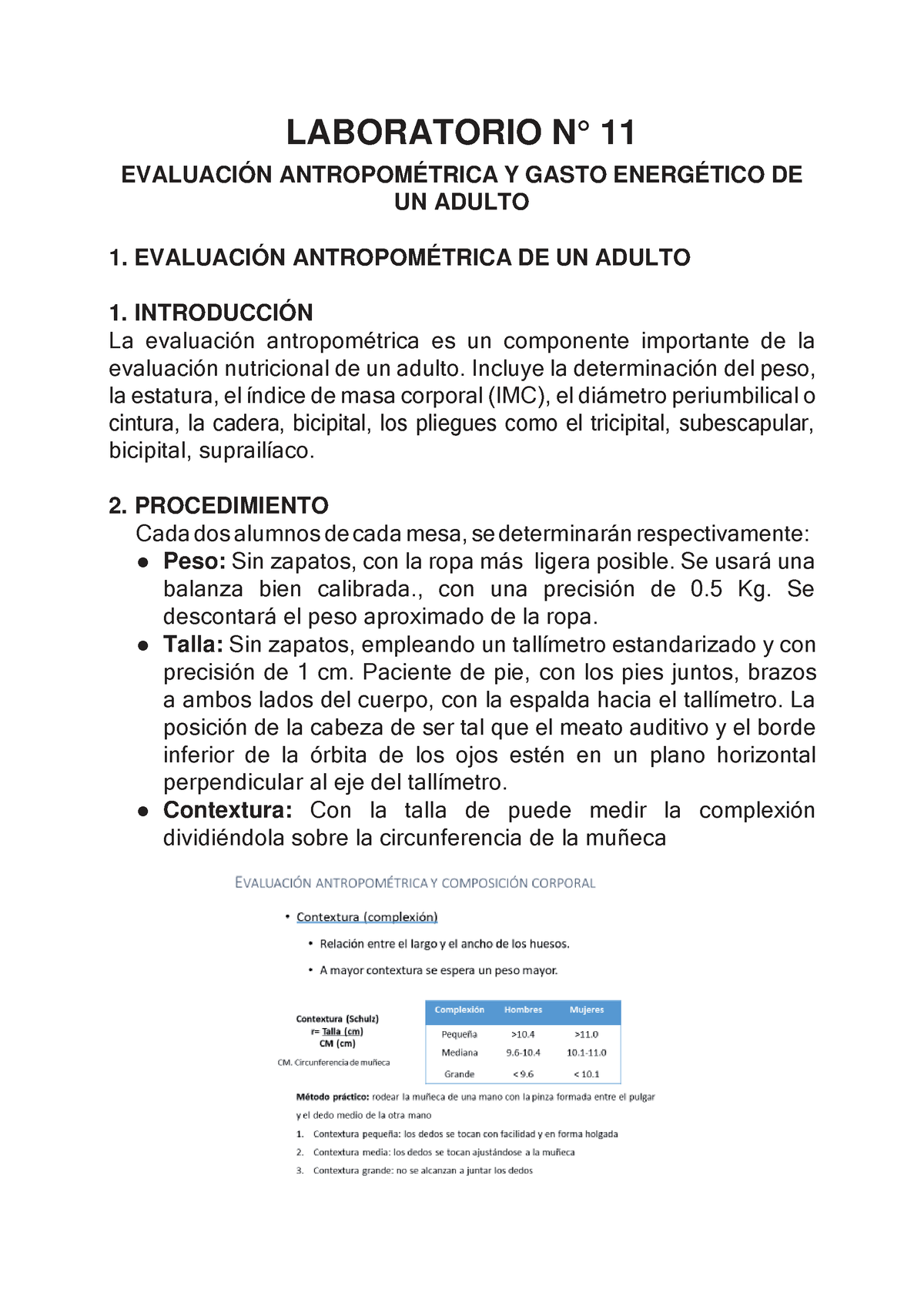 Informe Bioquímica Laboratorio N° 12 Laboratorio N° 11 EvaluaciÓn