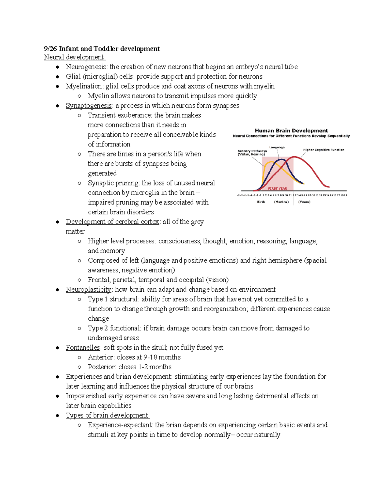 Infant and toddler development - 9/26 Infant and Toddler development ...