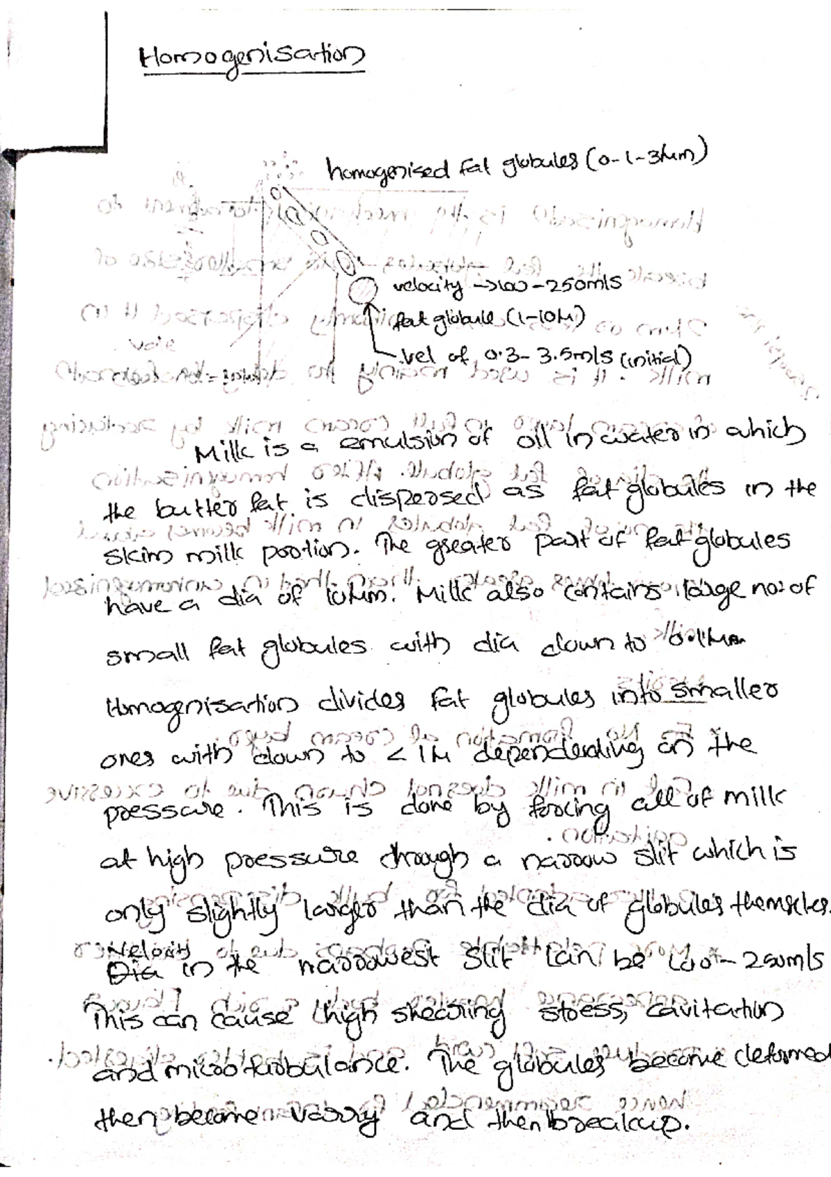 Homogenization Definition, Effect of Homogenization, Classification of Homogenization, Theory