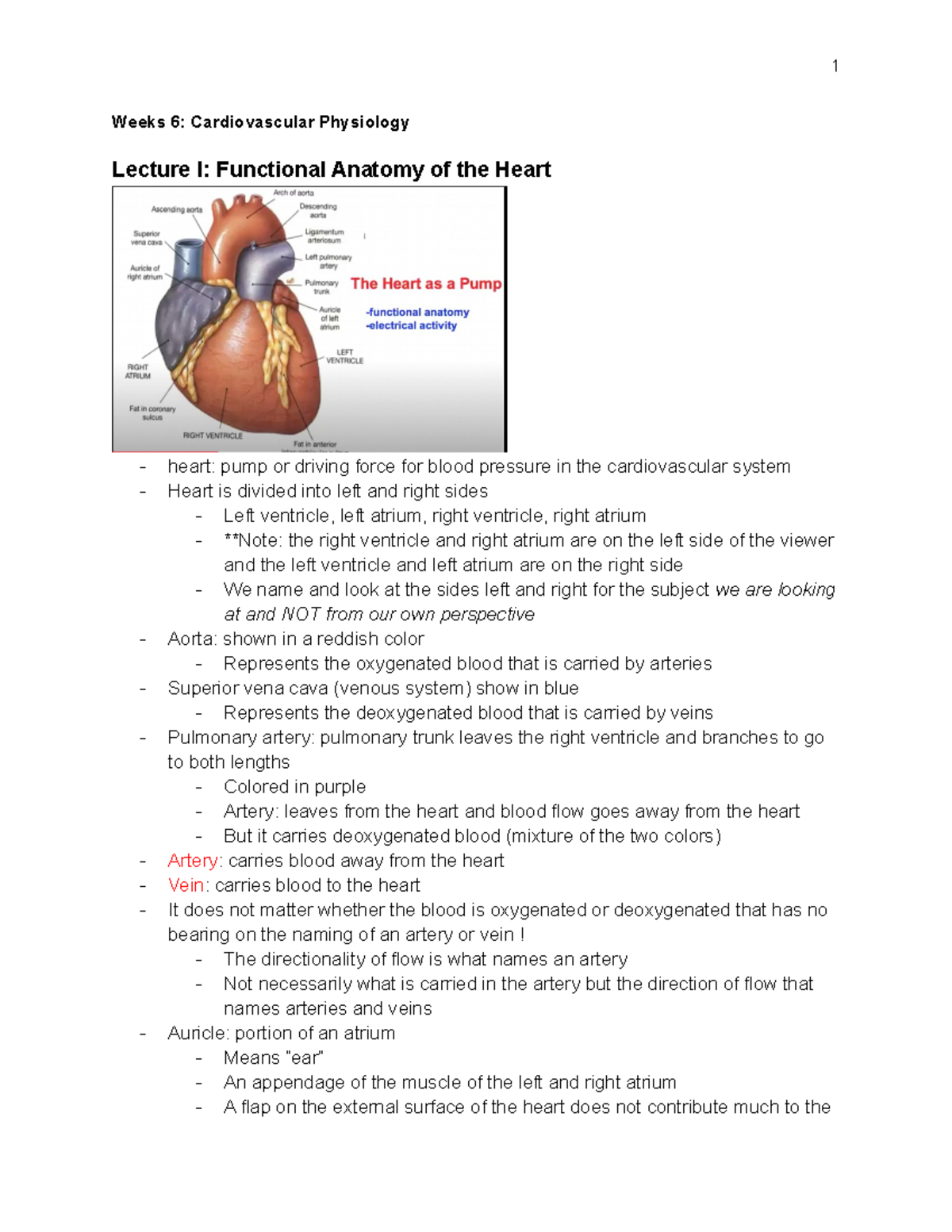 WEEK 6 Physiology Lecture - Weeks 6: Cardiovascular Physiology Lecture ...