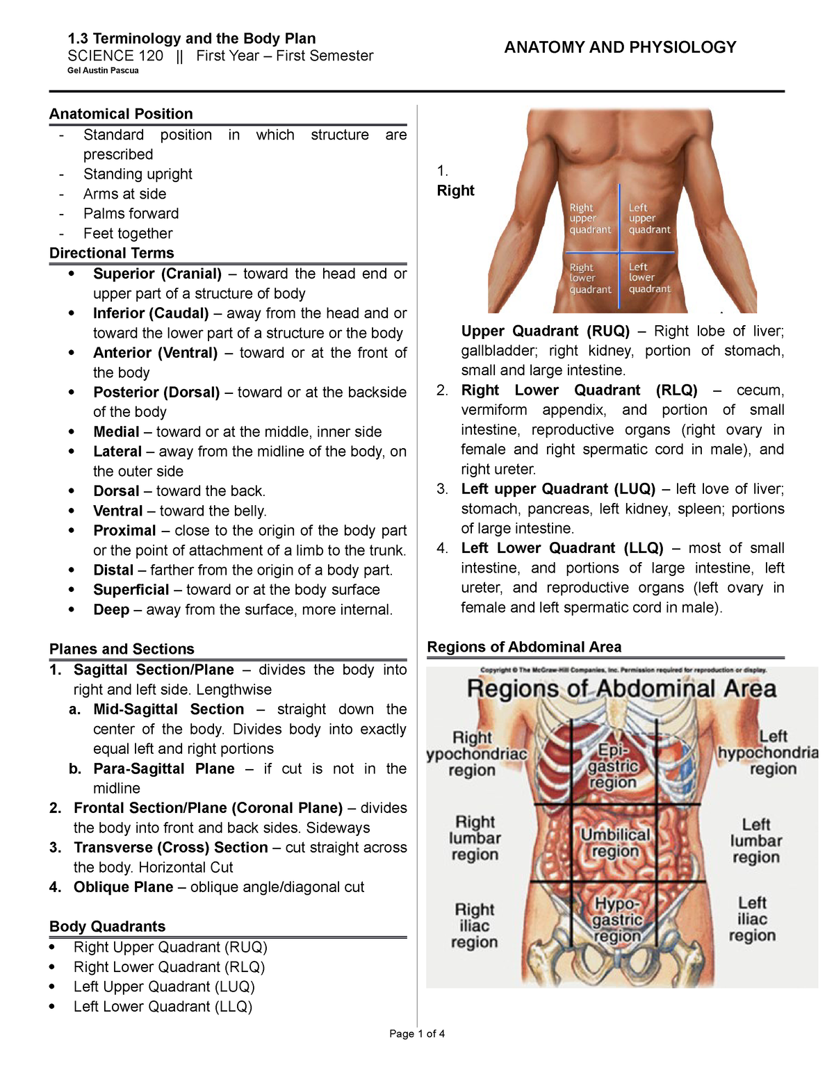 terminology-and-body-plan-1-terminology-and-the-body-plan-anatomy-and