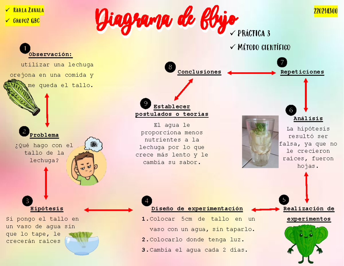 Diagrama De Flujo Experimentacion Laboratorio - vrogue.co