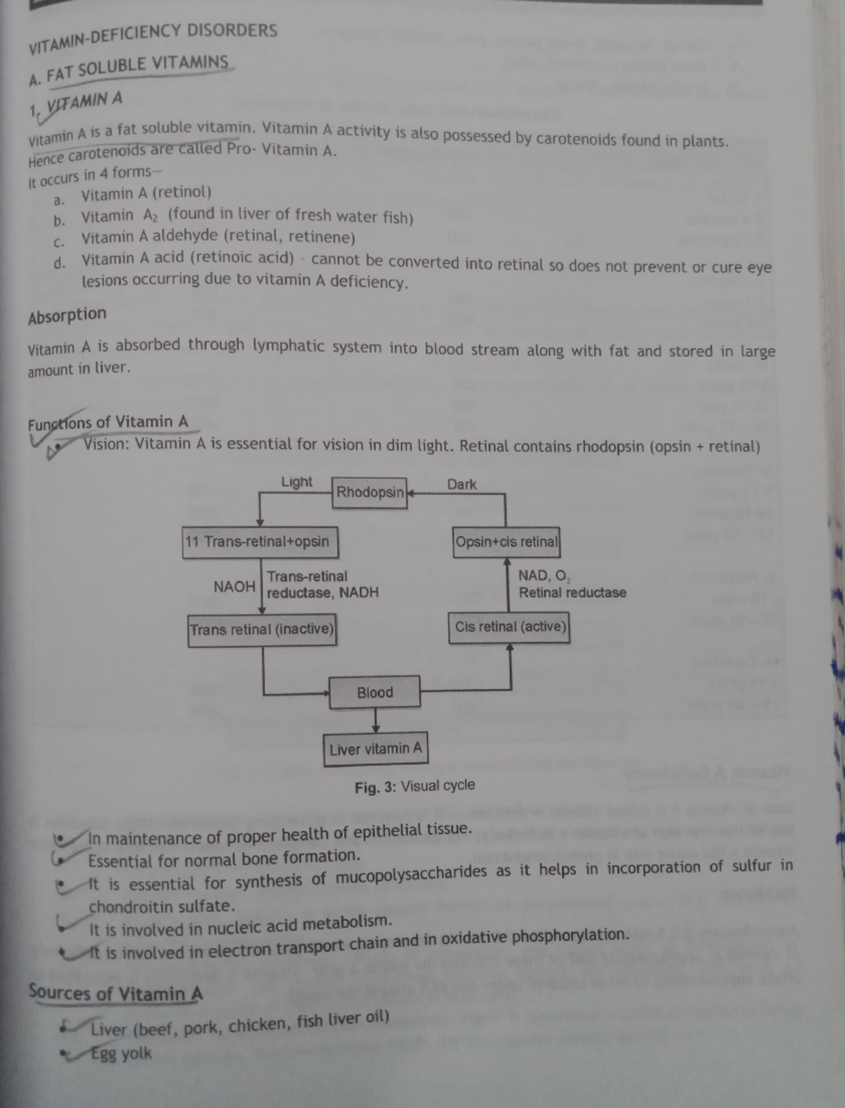 Pediatrics vit A deficiency vITAMINDEFICIENCY DISORDERS A. FAT