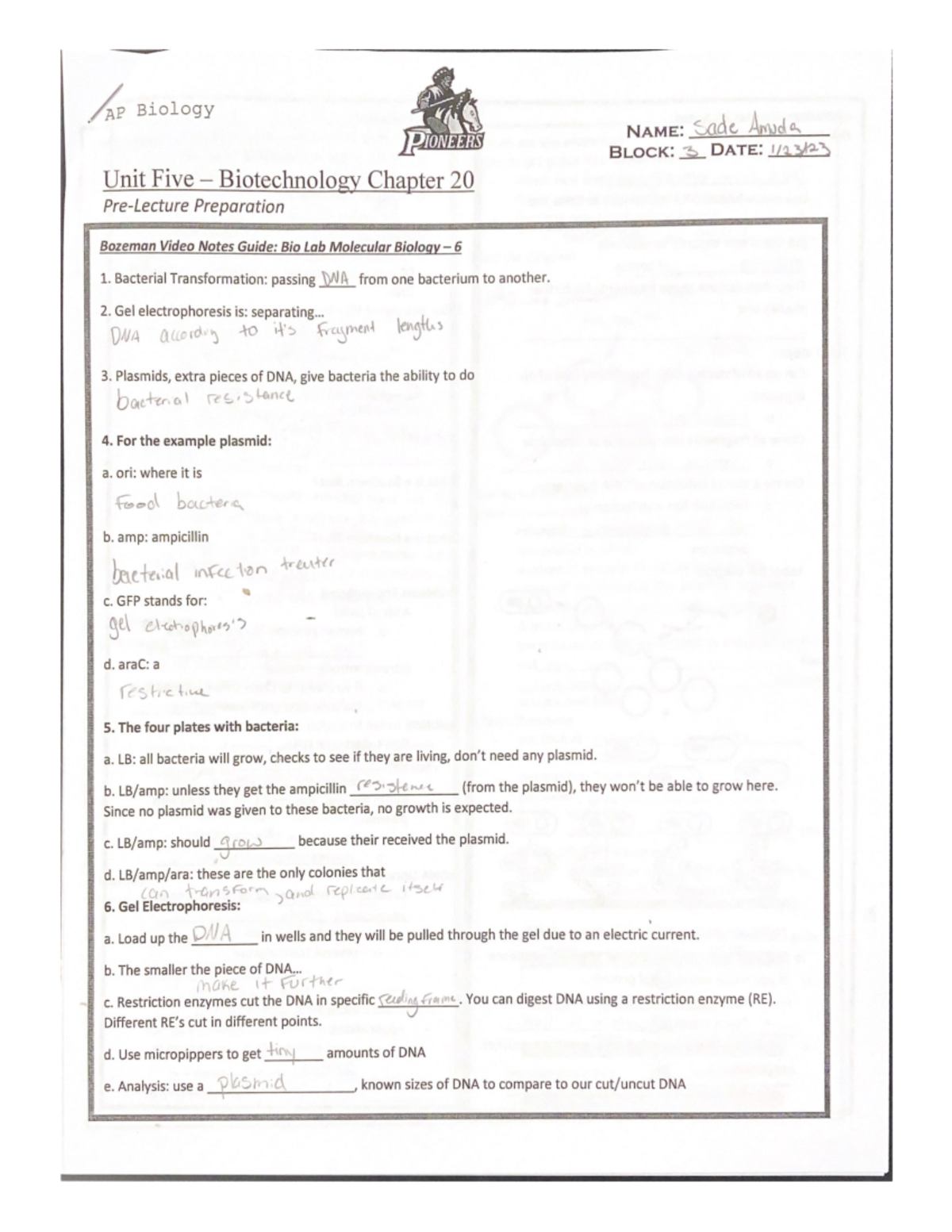 Unit Five - Biotechnology Chapter 20 - Bacterial Transformation ...