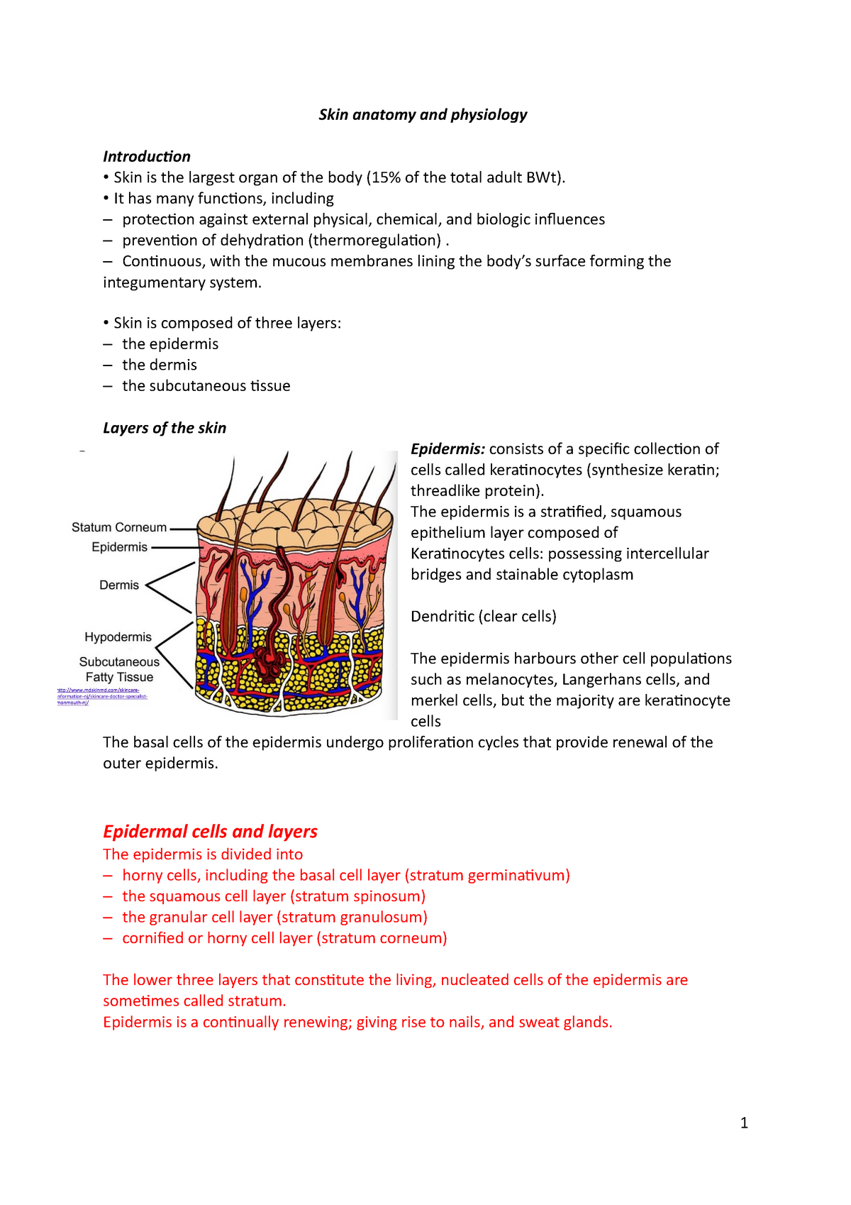 Skin Anatomy And Physiology Skin Anatomy And Physiology Introduction