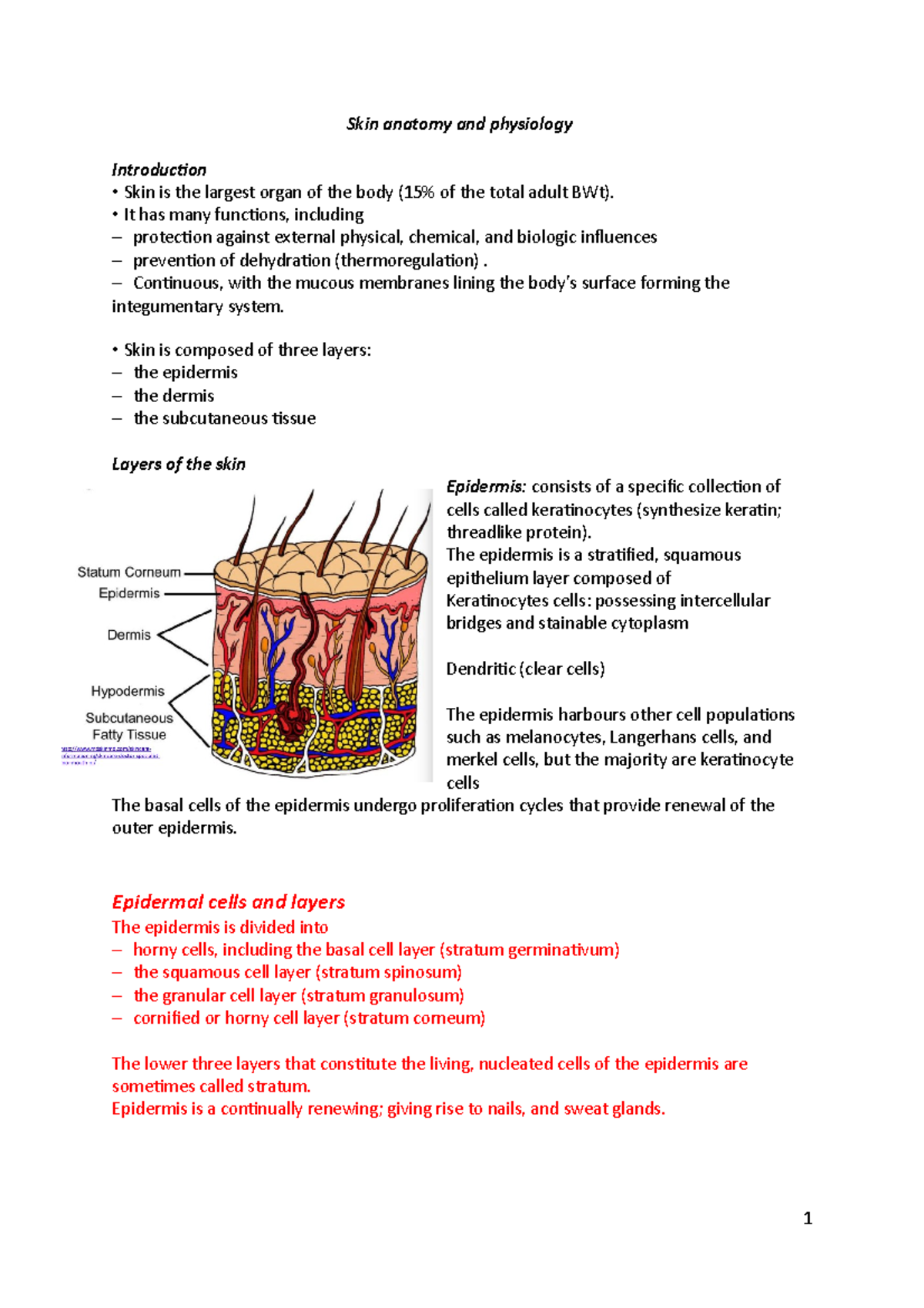 Skin Anatomy And Physiology Skin Anatomy And Physiology Introduction