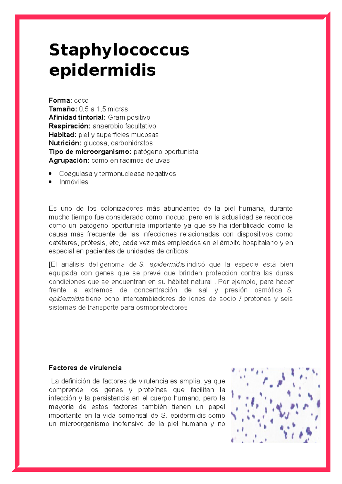 Staphylococcus Epidermidis Staphylococcus Epidermidis Forma Coco