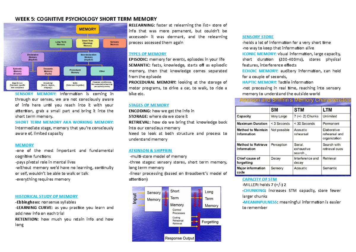 Wk 5 Short Term Memory - WEEK 5: COGNITIVE PSYCHOLOGY SHORT TERM MEMORY ...