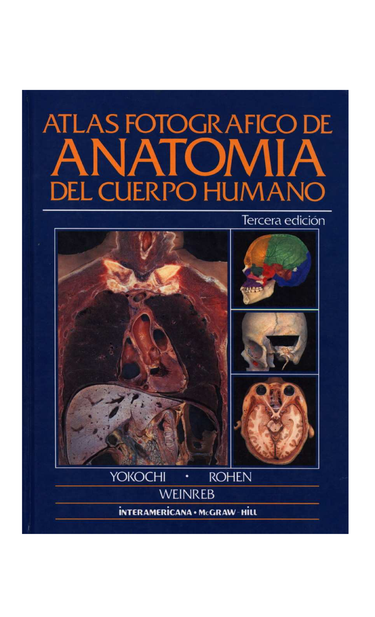 Yokochi - Rohen - atlas fotogr+ífico de anatom+¡a humana - Anatomía ...