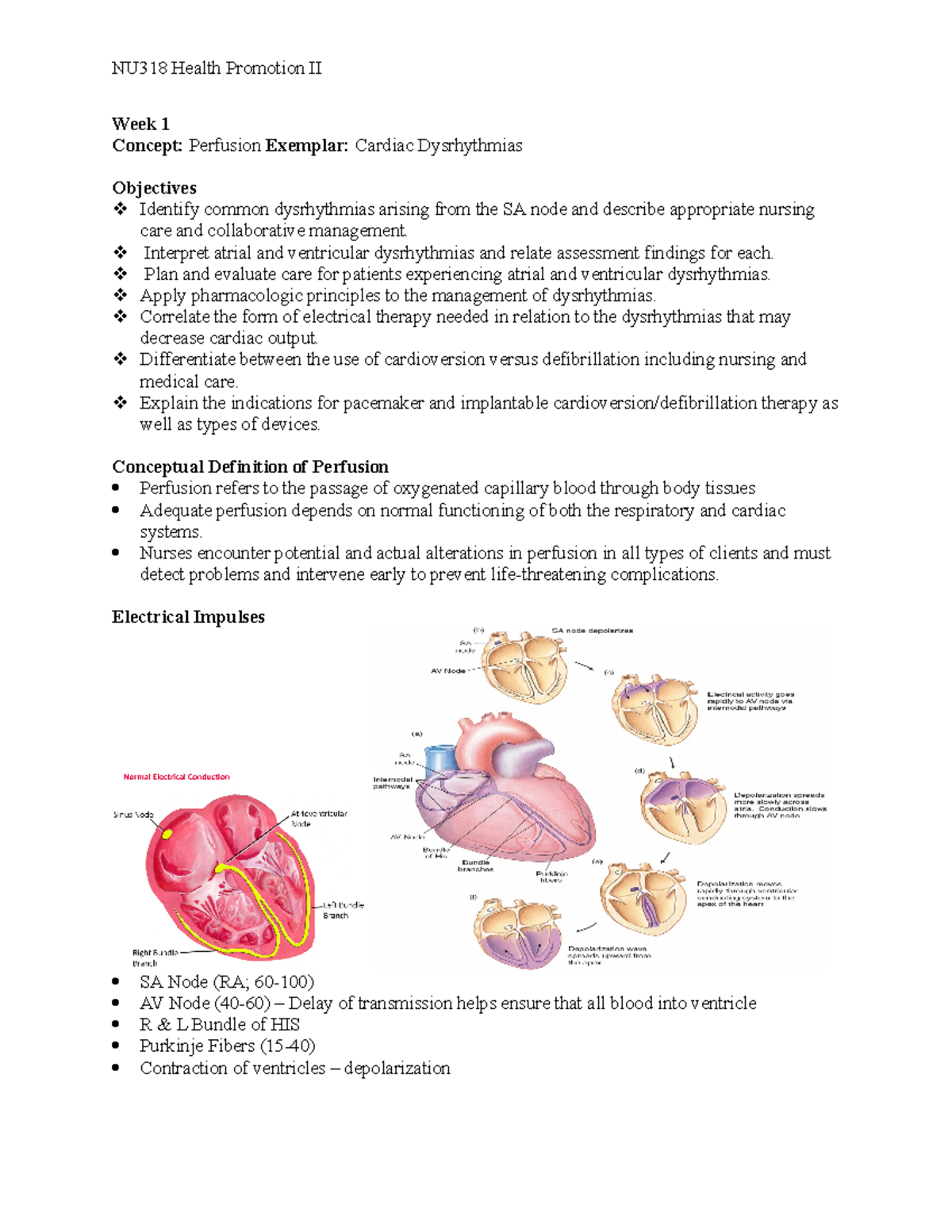 Exam 1 - NU318 Health Promotion II Week 1 Concept: Perfusion Exemplar ...