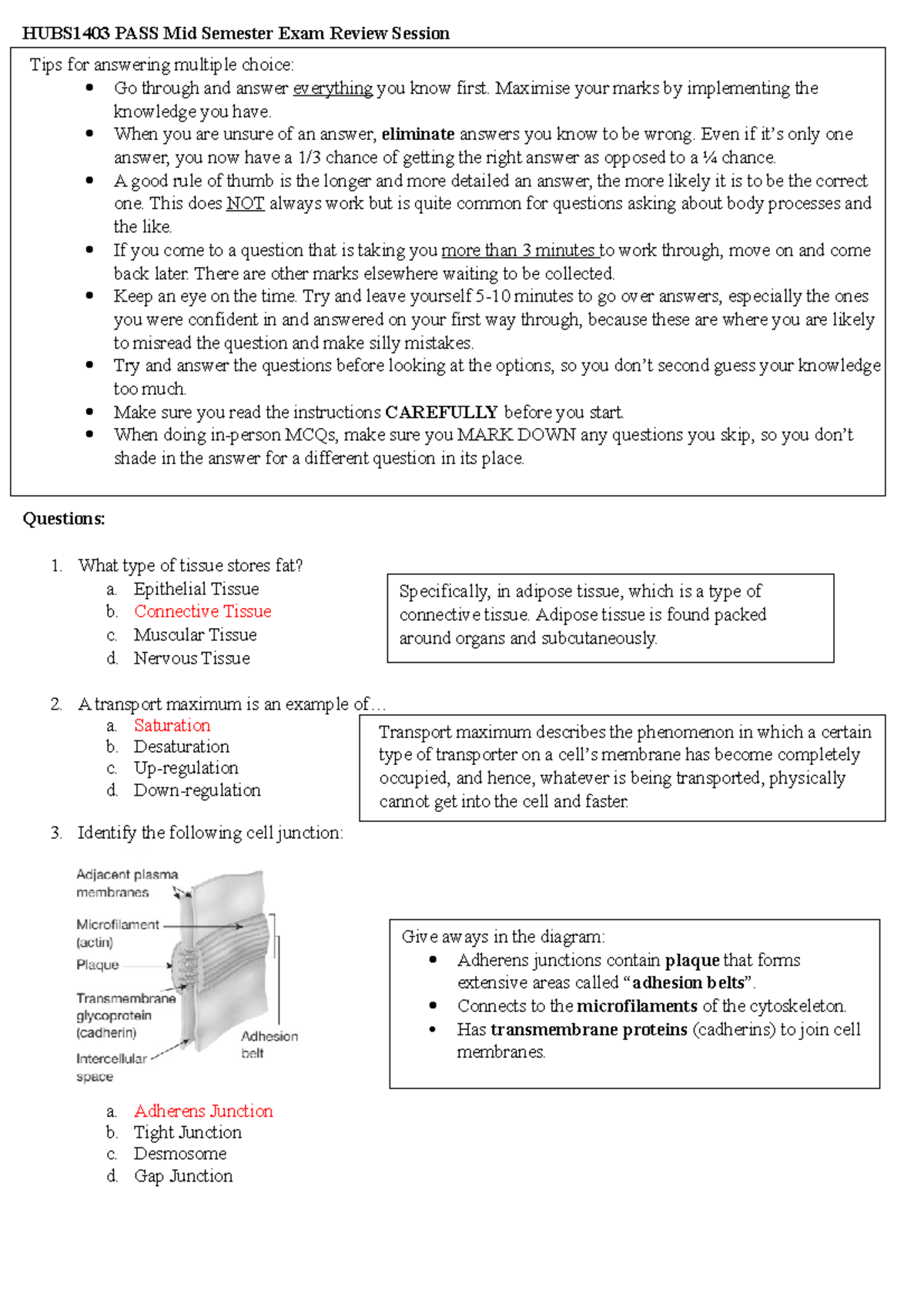 HUBS1403 PASS Mid Semester Exam Review Session Answers - HUBS1403 PASS ...