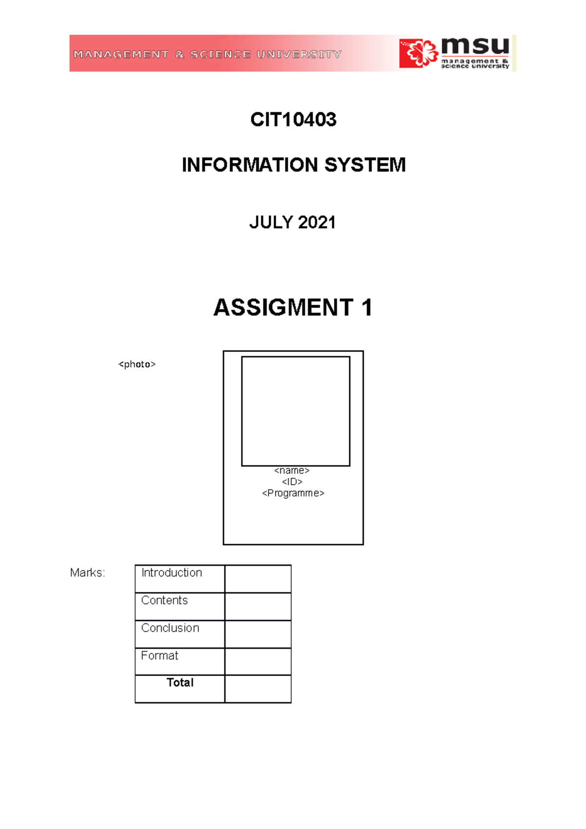 information system assignment