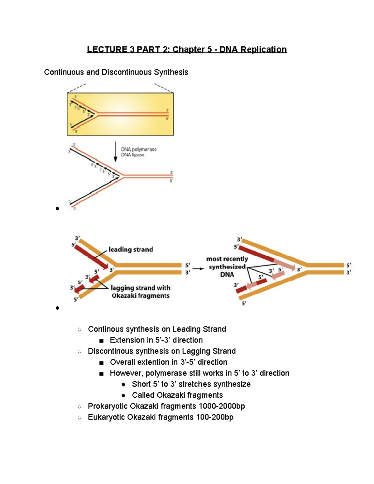 BIO 209 Lecture 3 Notes Part 2 - LECTURE 3 PART 2: Chapter 5 - DNA ...