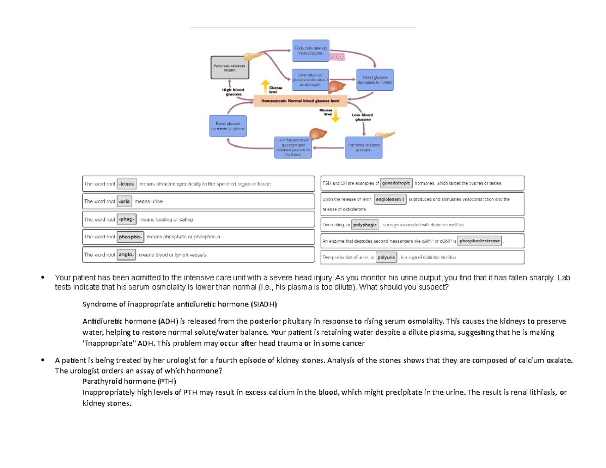 chapter-16-hw-endocrine-practice-questions-your-patient-has-been