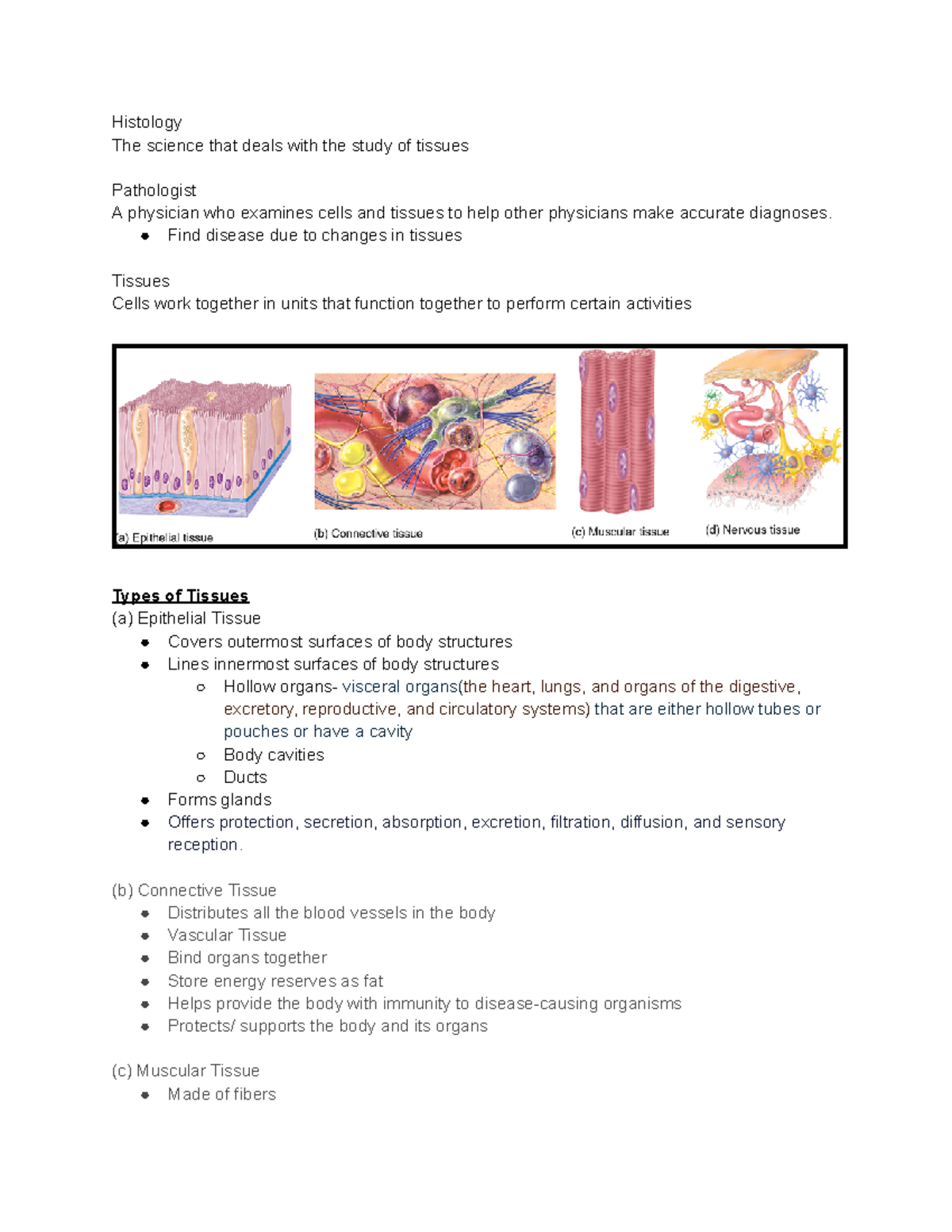 Human Anatomy Chapter 3 Book Notes - Histology The science that deals ...