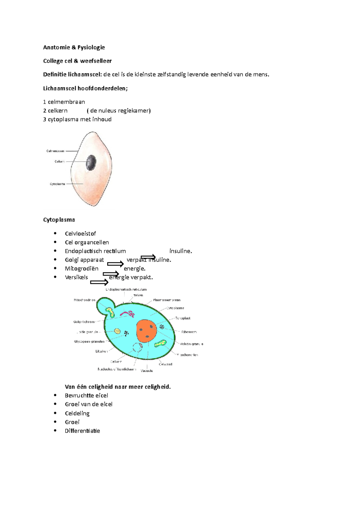 Atanomie En Fysiologie Blok 1 - Anatomie & Fysiologie College Cel ...