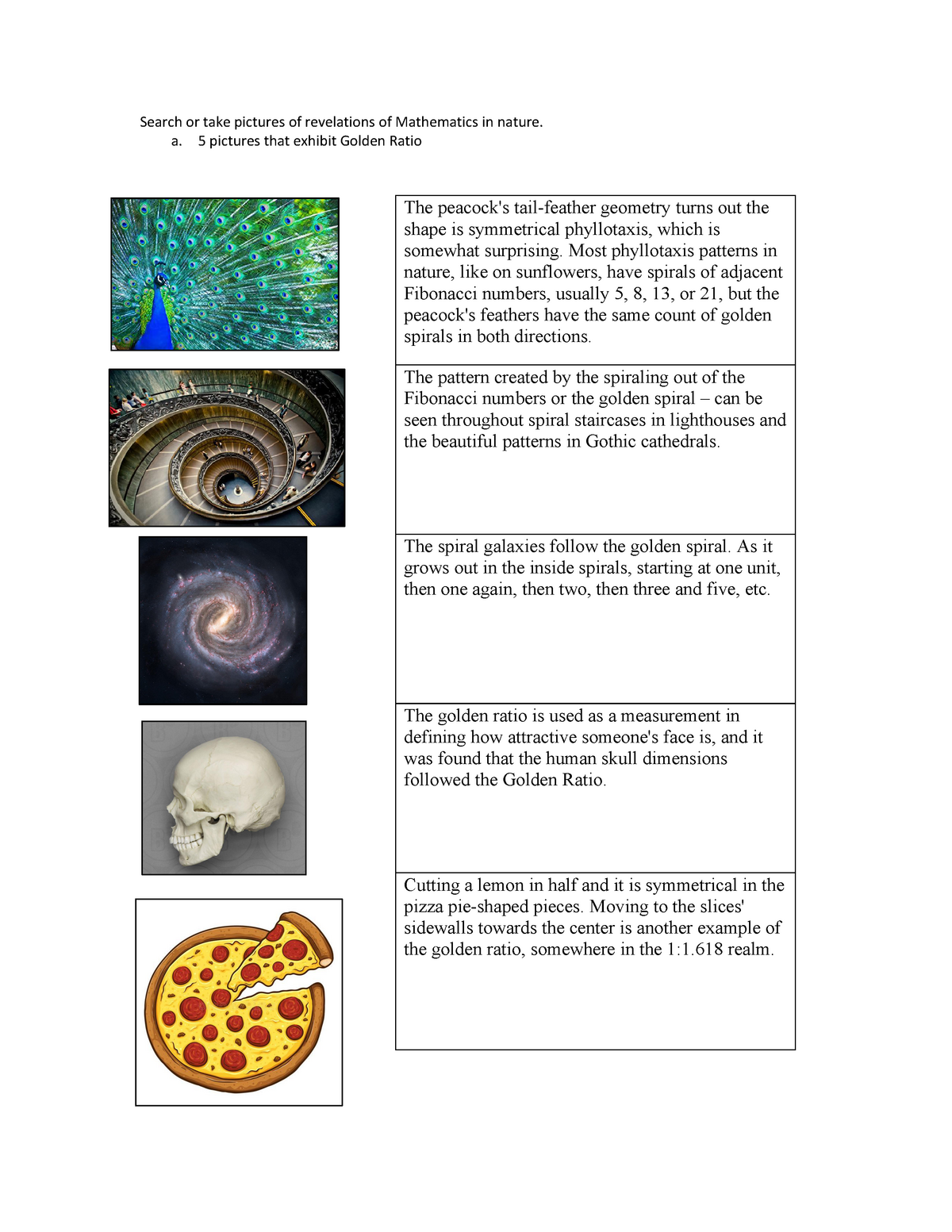 fibonacci research paper