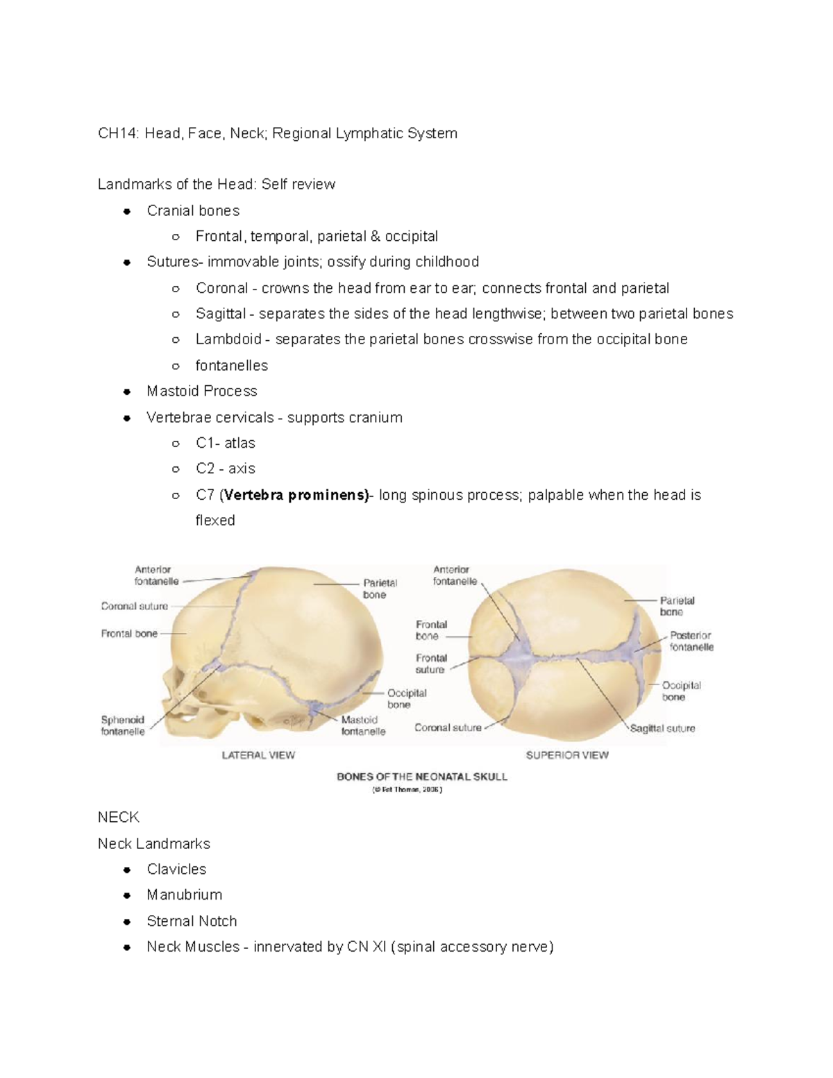 Jarvis Ch 14 Summary - Health Assessment - CH14: Head, Face, Neck ...