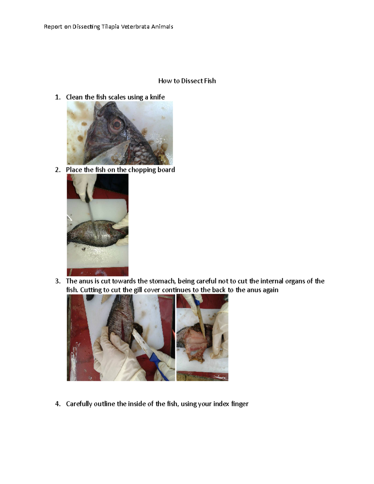 Dissecting The Taliya And Gustavo Leak - swb0uqi