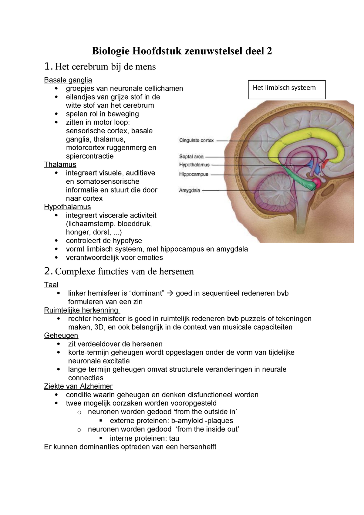 Biologie Hoofdstuk Het Zenuwstelsel Deel 2 - Het Cerebrum Bij De Mens ...