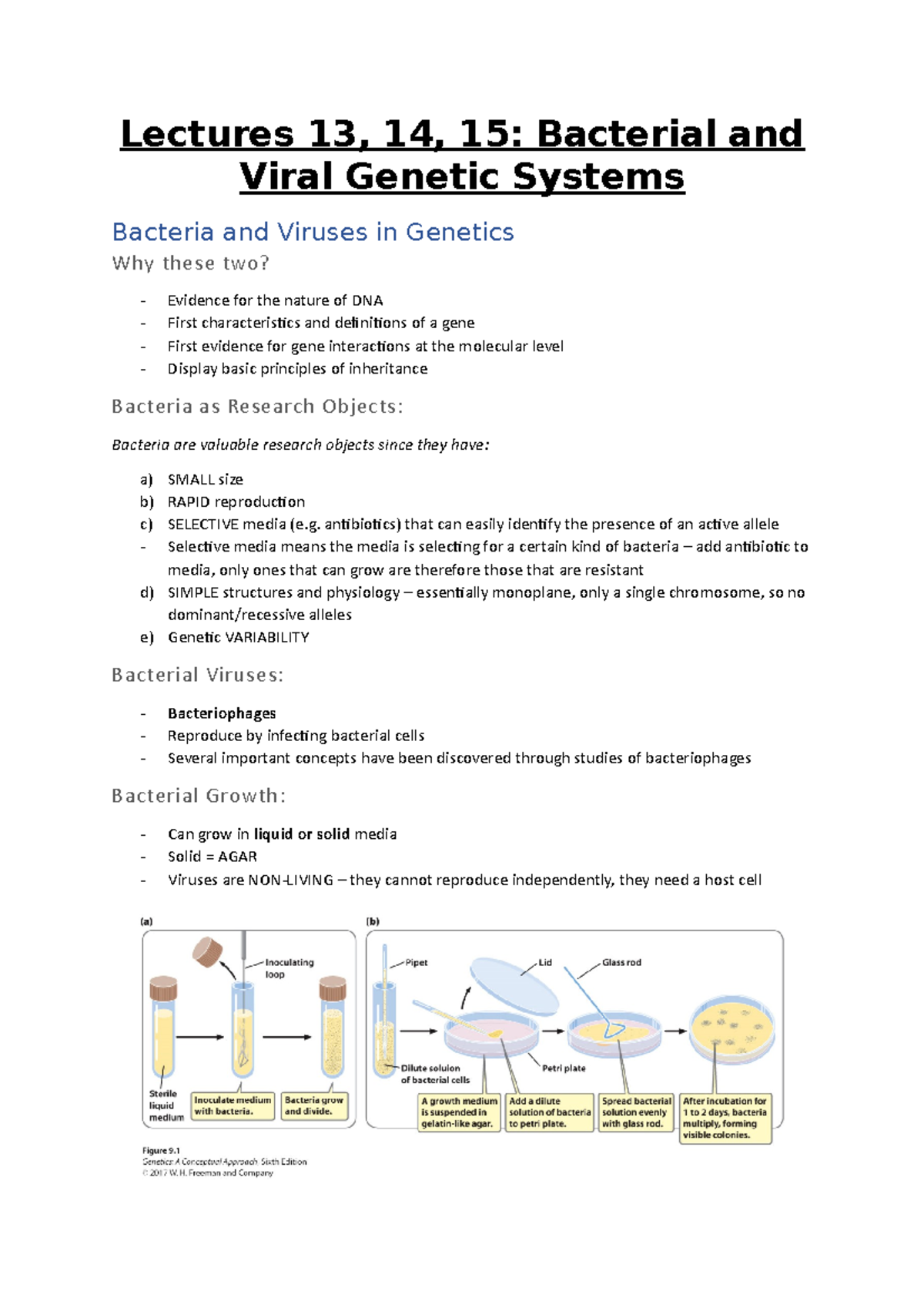 Lectures 13, 14, 15; Bacterial and Viral Genetic Systems - Mbg2040 - U ...