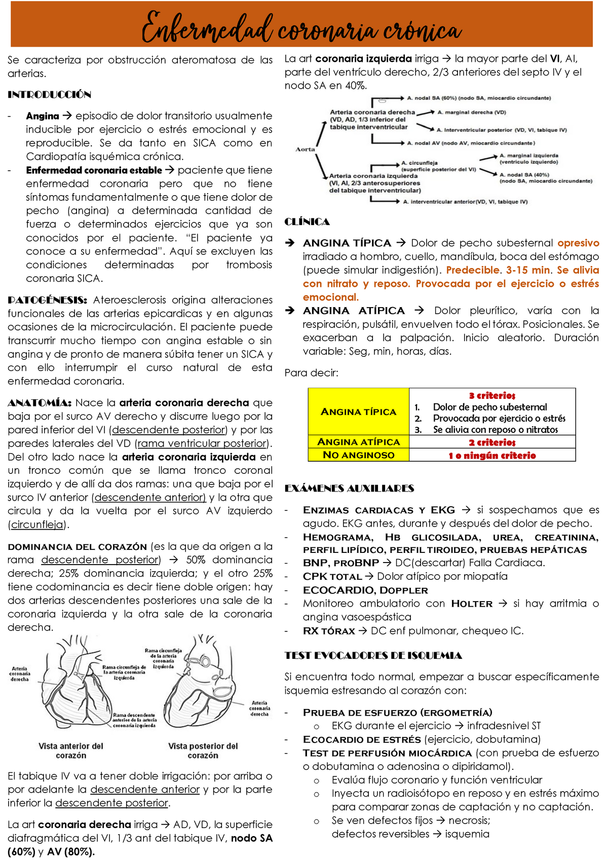 Cardiopatia Isquemica Cronica - Se Caracteriza Por Obstrucción ...