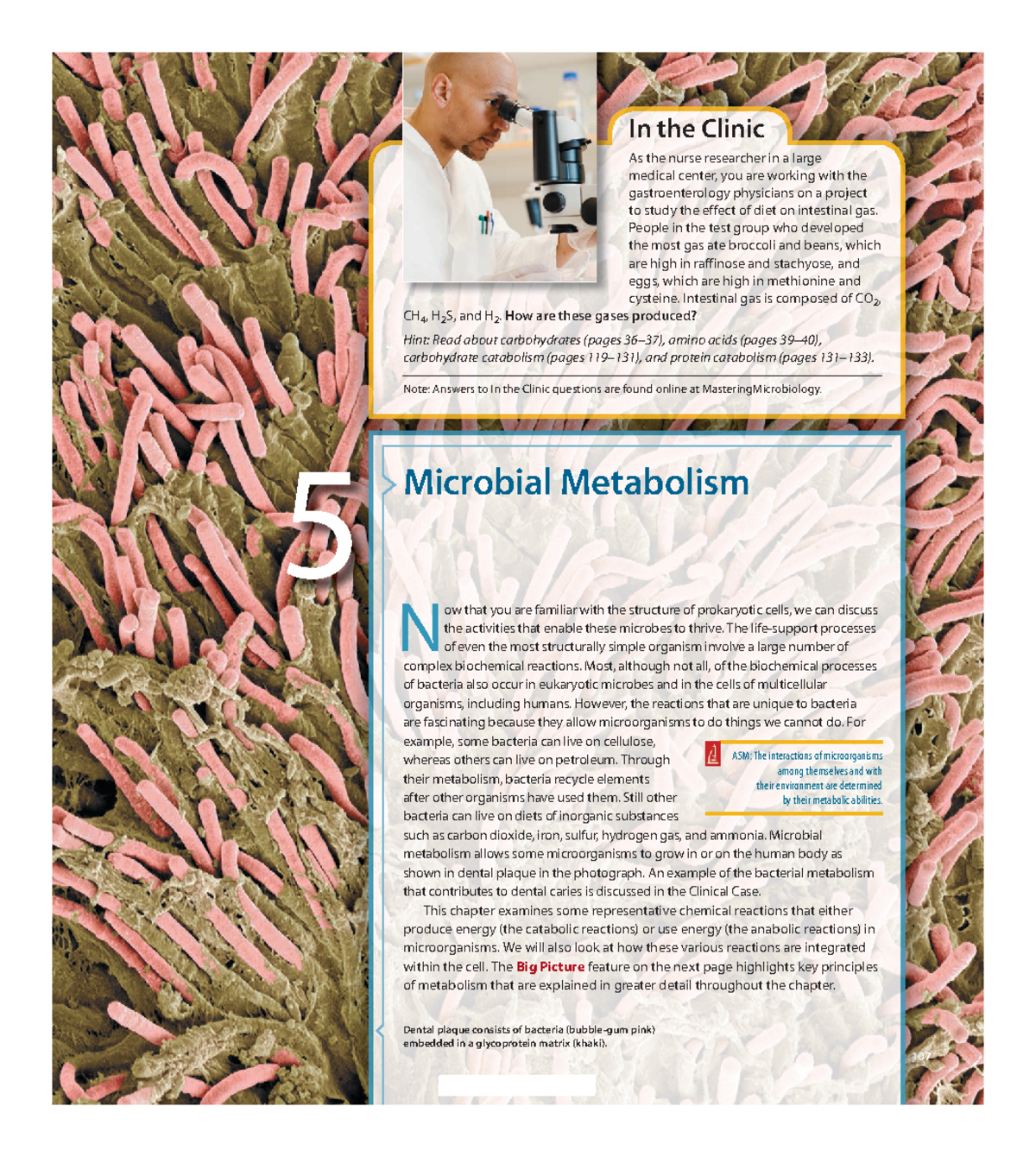 Book- Chapter 5-Microbial Metabolism - 107 In the Clinic As the nurse  researcher in a large medical - Studocu