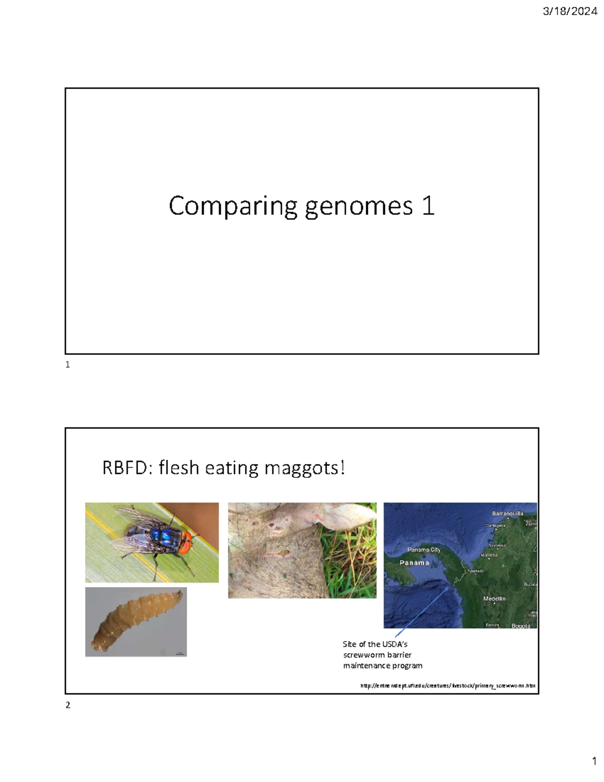 Lec15-comp Genomes 1Print - Comparing genomes 1 RBFD: flesh eating ...