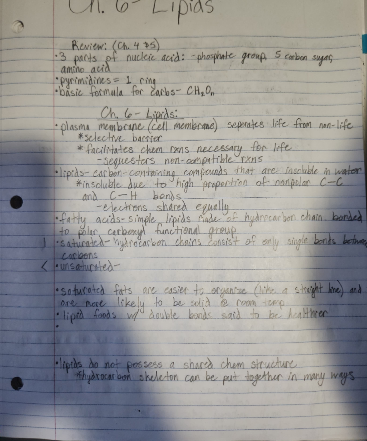 Biol 205 lecture 5 - ####### Review: (Ch. 4 5) 3 3 pacts pf nucleic ...