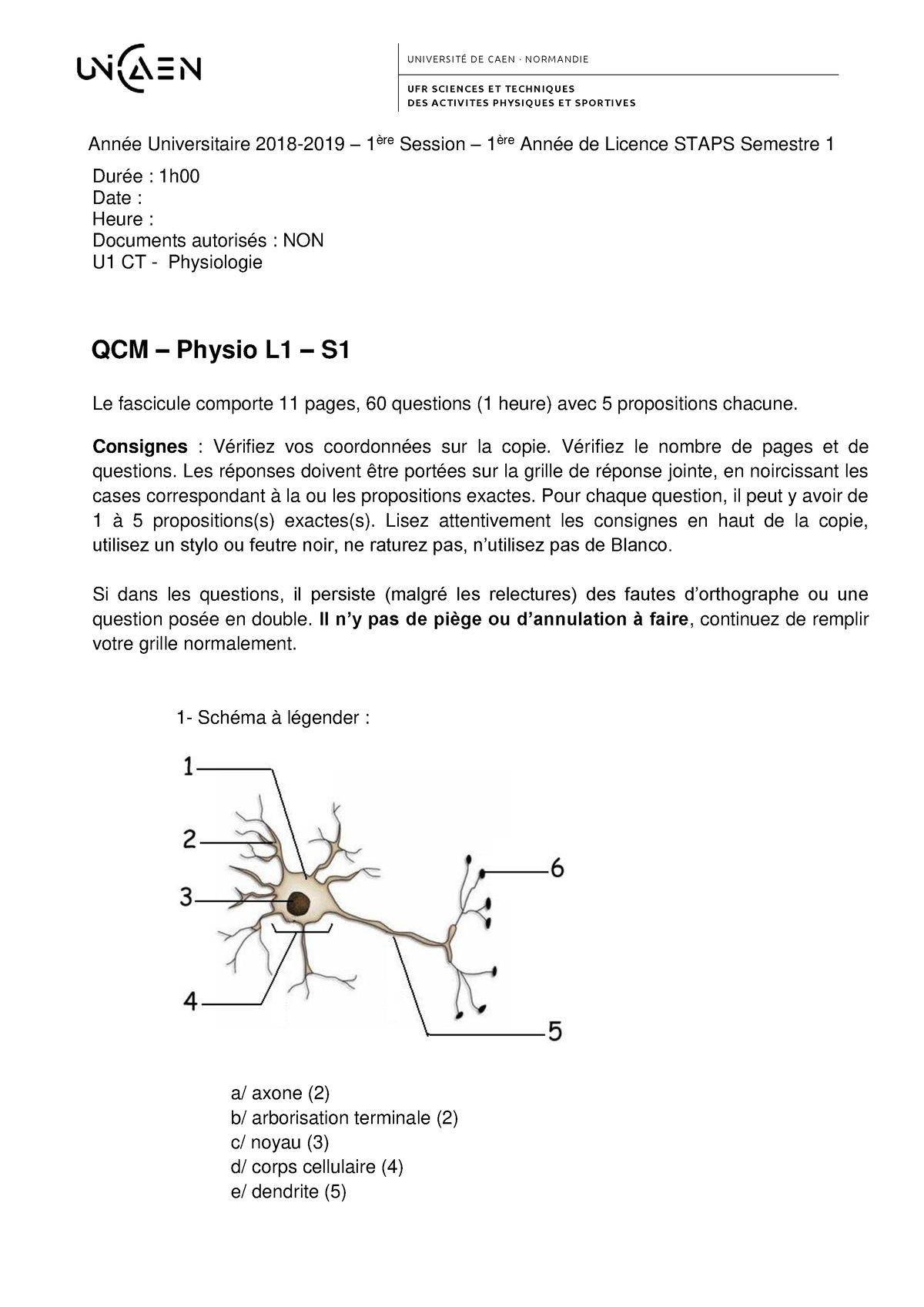 Staps L1 Physiologie - U N I V E R S I TÉ D E C A E N · N O R M A N DI ...