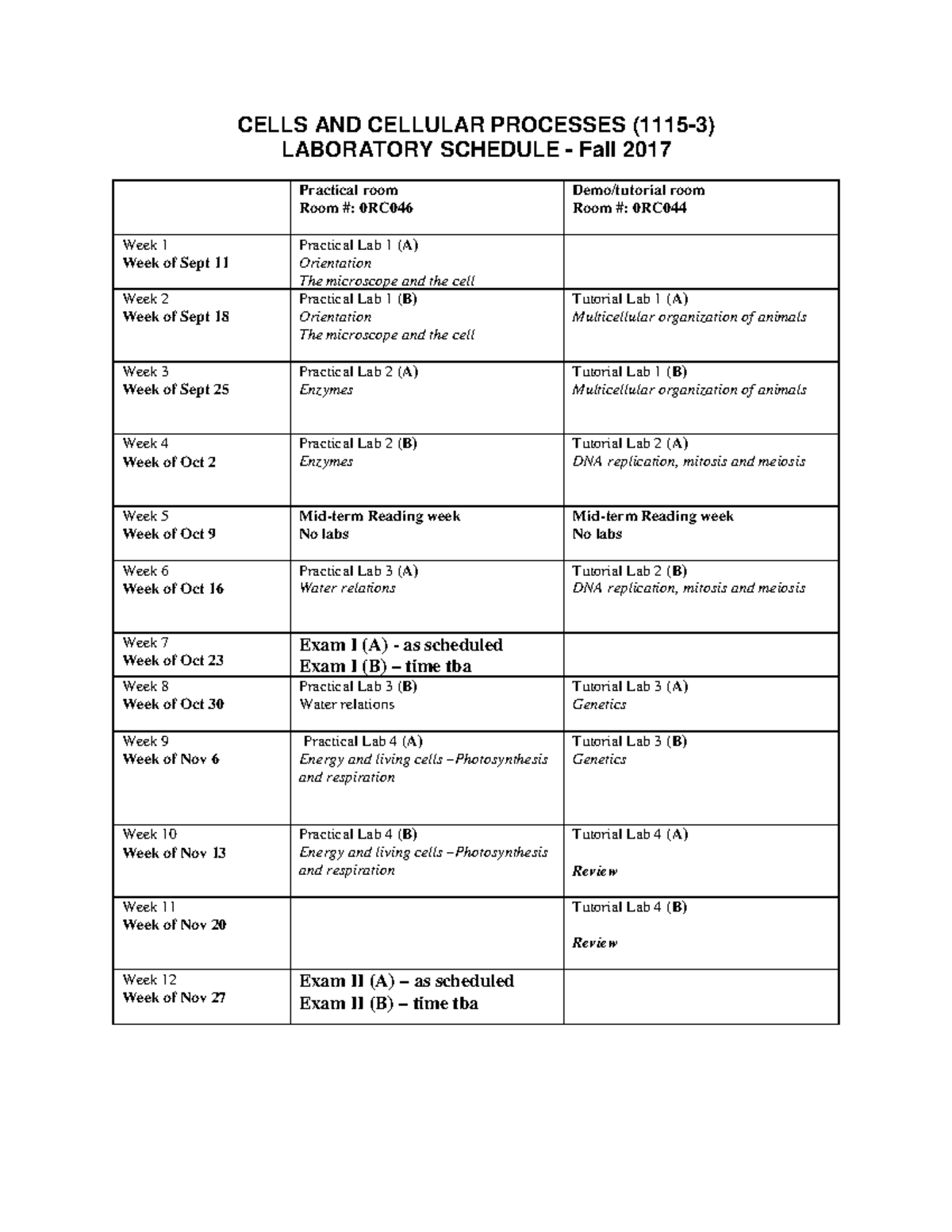 Onlycellis: Understanding Cellular Processes - 1ihh7x9