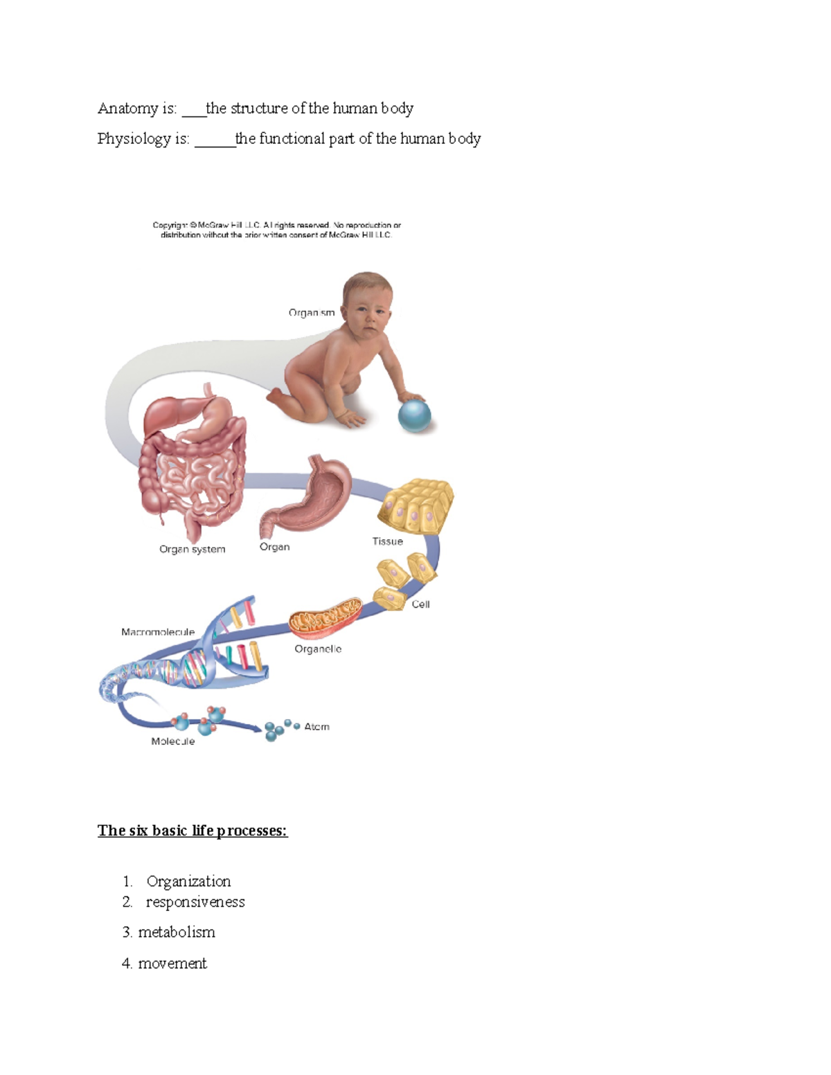 assignment topic importance of anatomy in human body