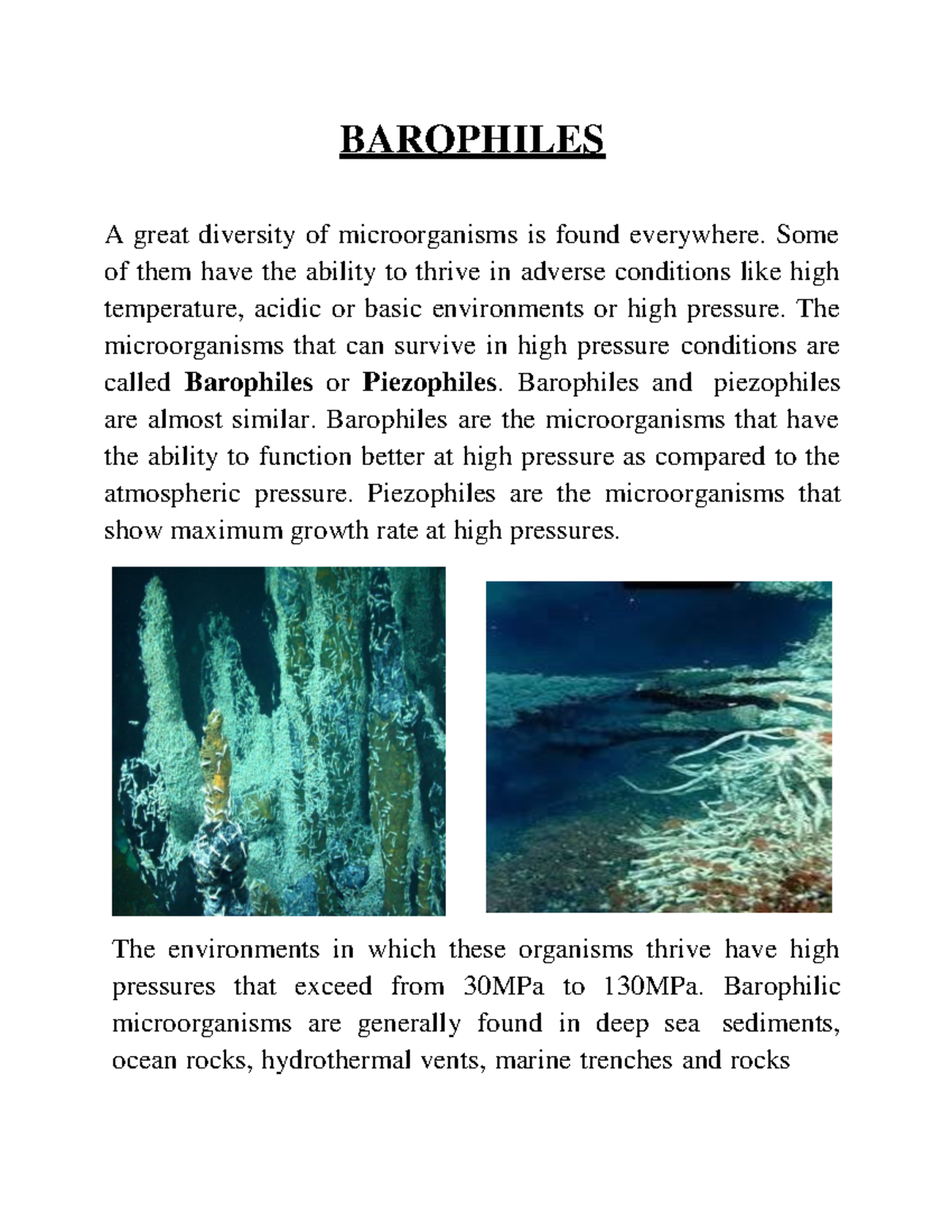 Barophiles - BAROPHILES A great diversity of microorganisms is found