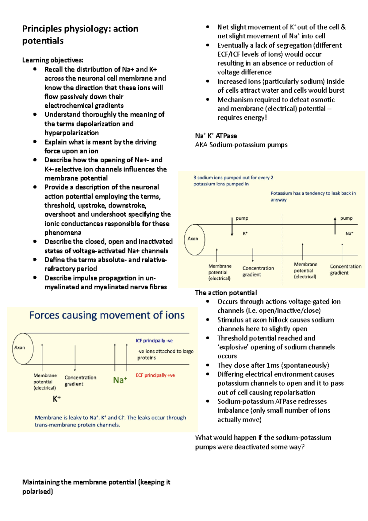 Action potentials - Principles physiology: action potentials Learning ...