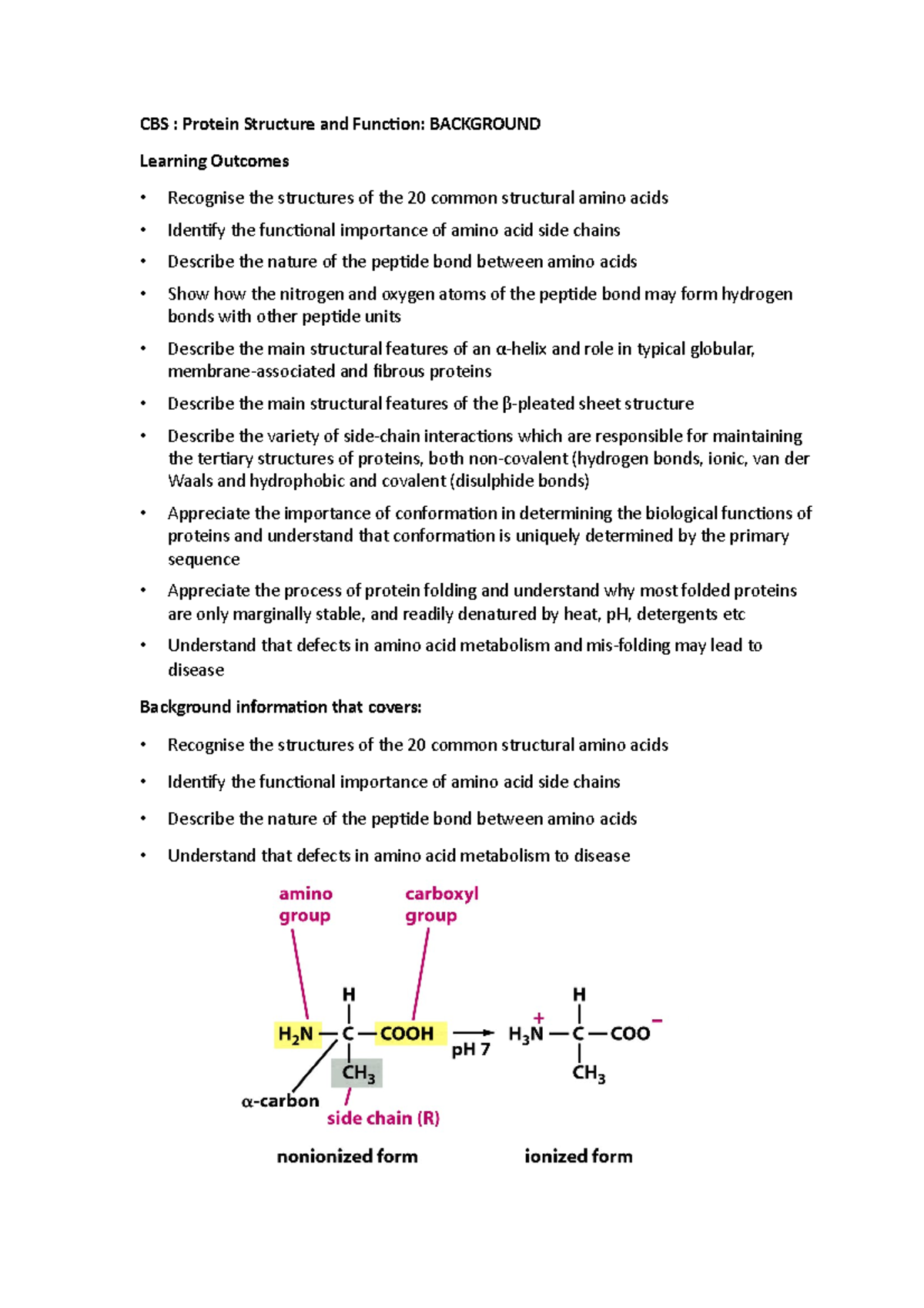 CBS Protein structure and Function Background CBS Protein Structure