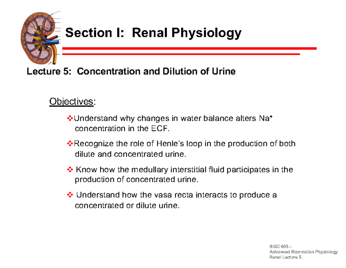 5. Concentration and Dilution of Urine Section I Renal Physiology Lecture 5 Concentration