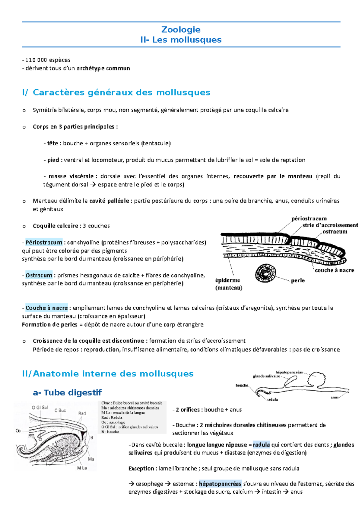 Description, des mollusques fossiles, qui se trouvent, dans les grès
