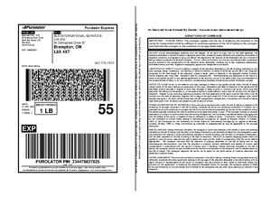 170- Assignment 1 Websites - RADI 170 RAD QA and Processing Assignment ...