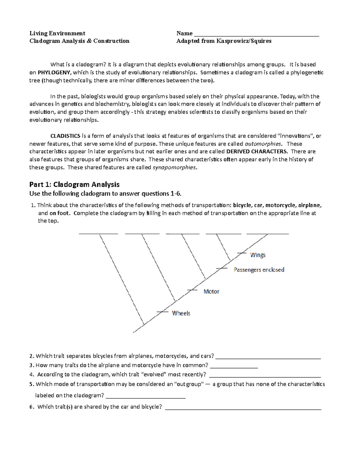 chelsea-flores-cladogram-analysis-and-construction-living