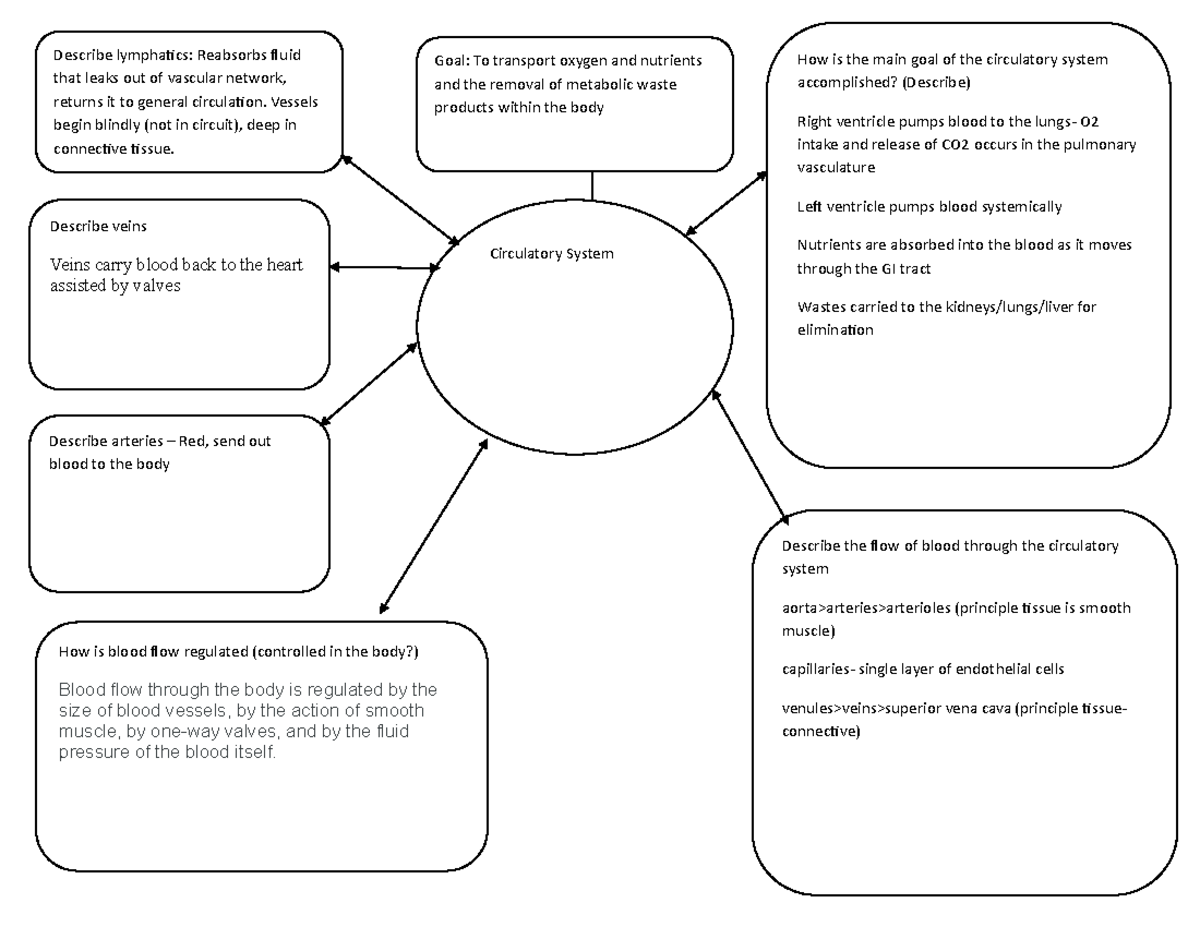 General Medical Concept Circulatory Overview - How is blood flow ...