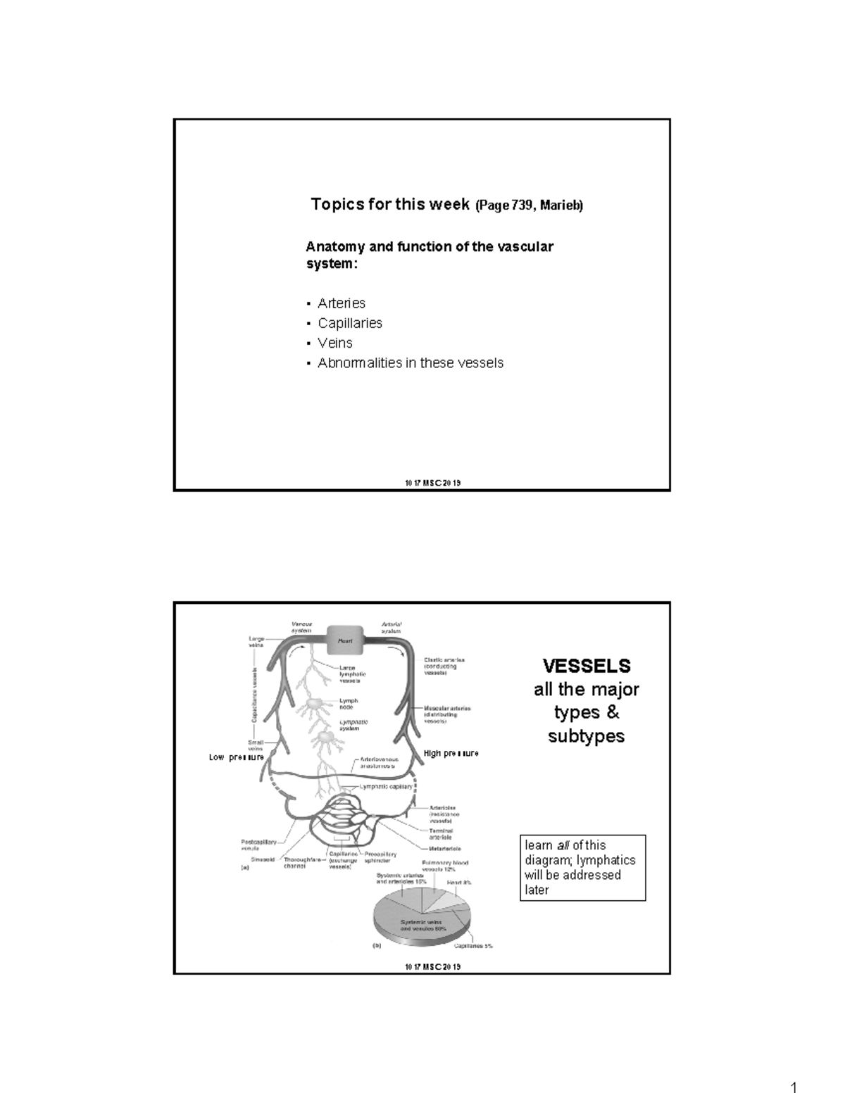 Mod 2 Anatomy & Physiology 1 Lecture slides Modules 2 Griffith