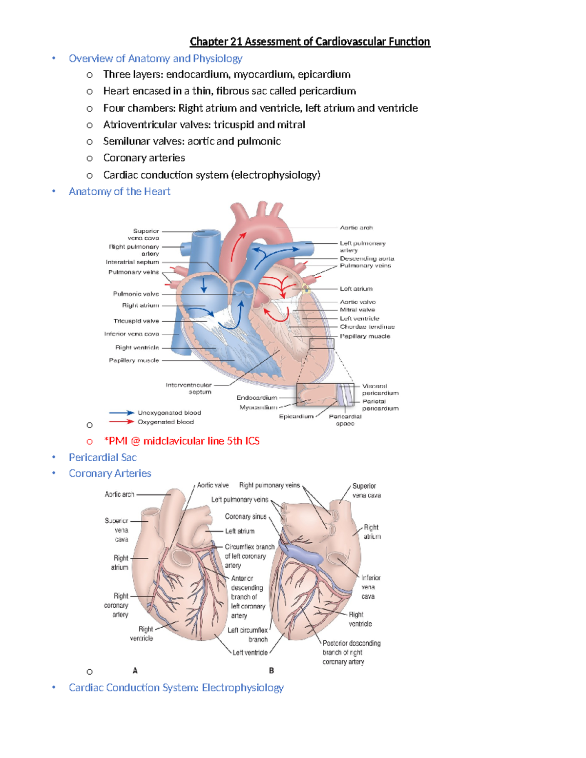 Cardiac Test Review - Chapter 21 Assessment Of Cardiovascular Function ...