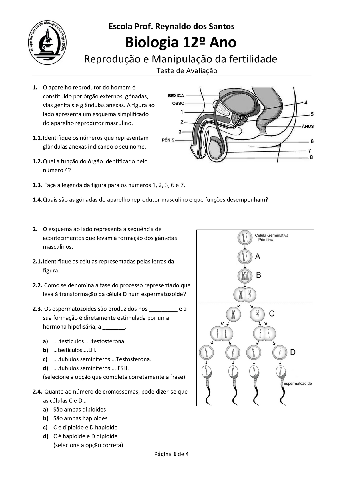 Ficha Sobre Sistema Reprodutor Escola Prof Reynaldo Dos Santos Biologia Ano Reprodu O E