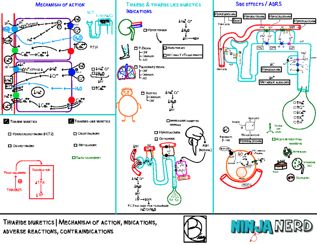 Thiazide diuretics Illustration atf - C C C C N C C N Ci 2K N K N Ci N ...