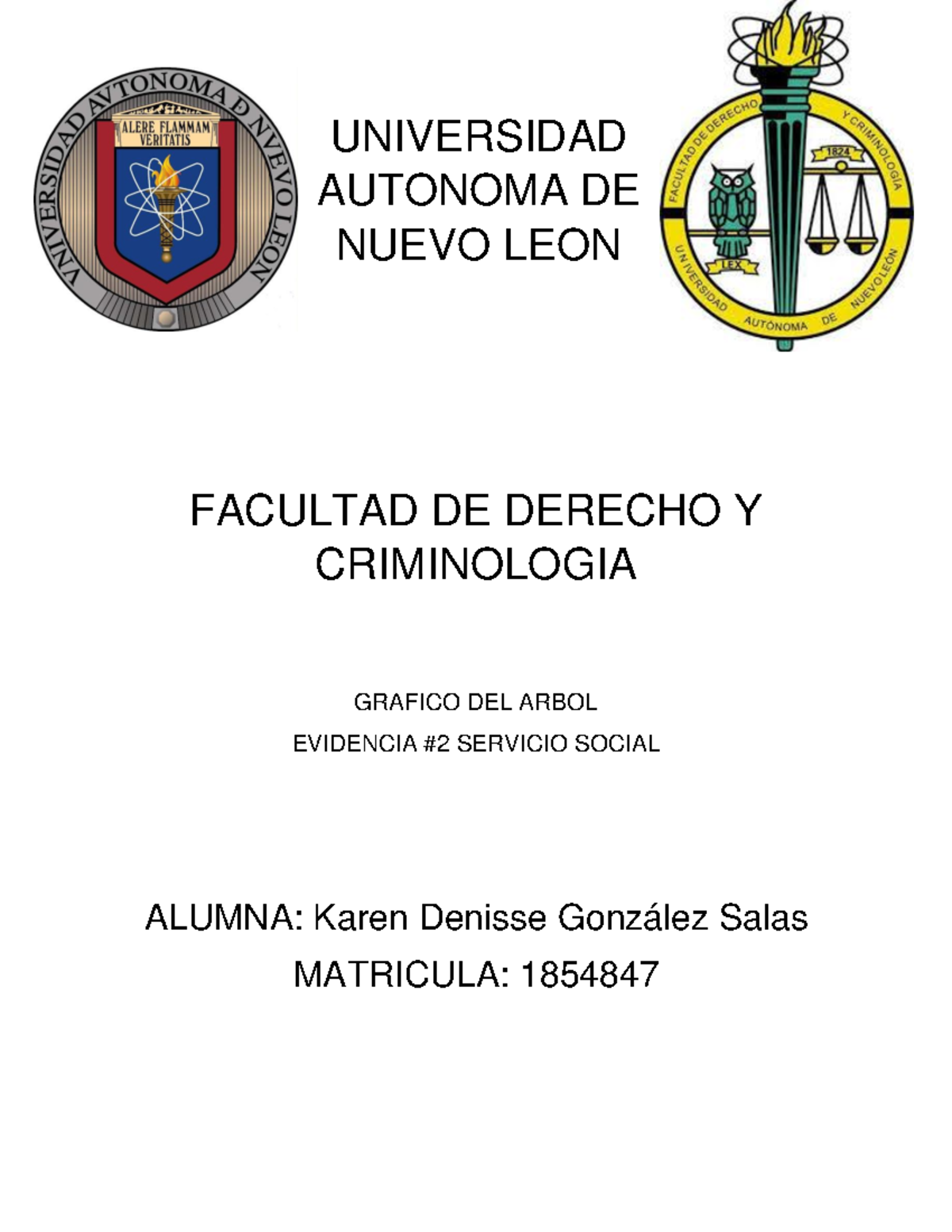 Evidencia 2 Servicio Social Universidad Autonoma De Nuevo Leon Facultad De Derecho Y 1398