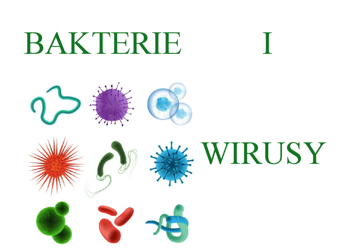 B Akterie I Wirusy - BAKTERIE I WIRUSY ŚRODOWISKO ŻYCIA BAKTERII